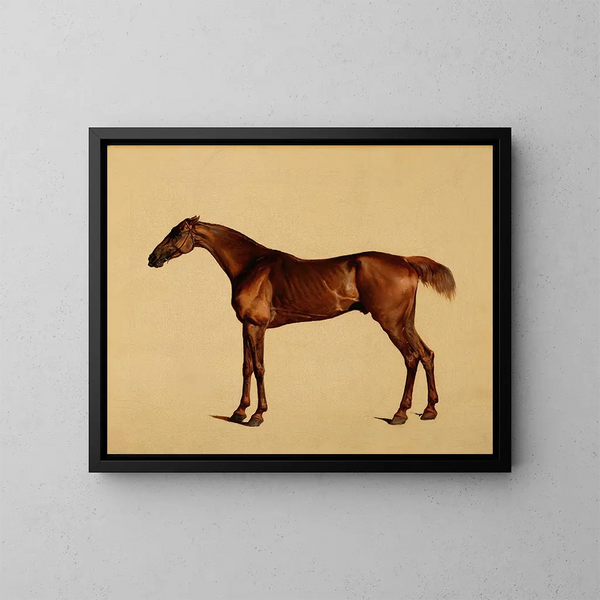 Pangloss - George Stubbs — indrammet kunstværk på væggen