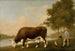 Le Bœuf du Lincolnshire - George Stubbs — visning af kunstværket