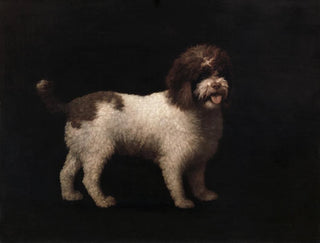 George Stubbs - Water Spaniel.webp