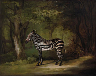 Zebra-maleri - George Stubbs — visning af kunstværket