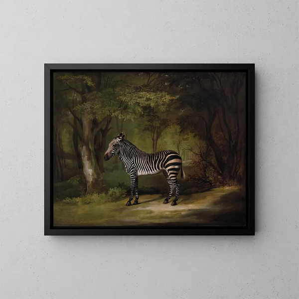 Zebra-maleri - George Stubbs — indrammet kunstværk på væggen