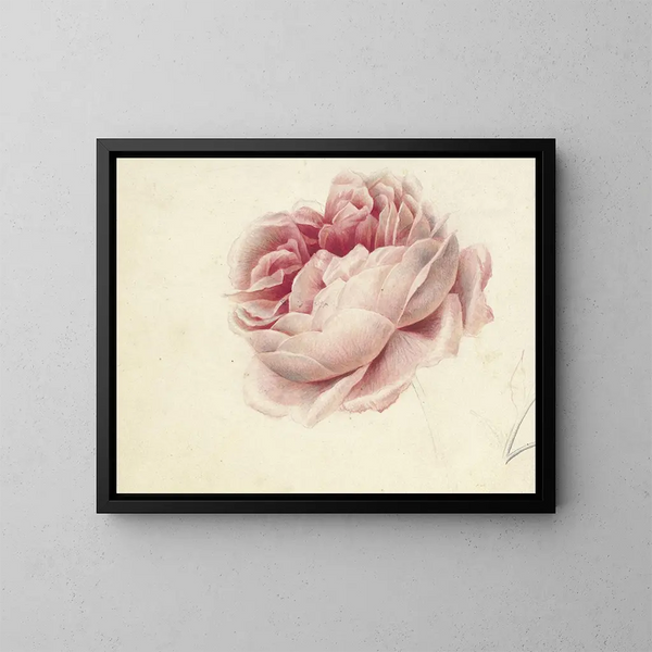 Roses roses - Georgius Jacobus Johannes van Os — indrammet kunstværk på væggen