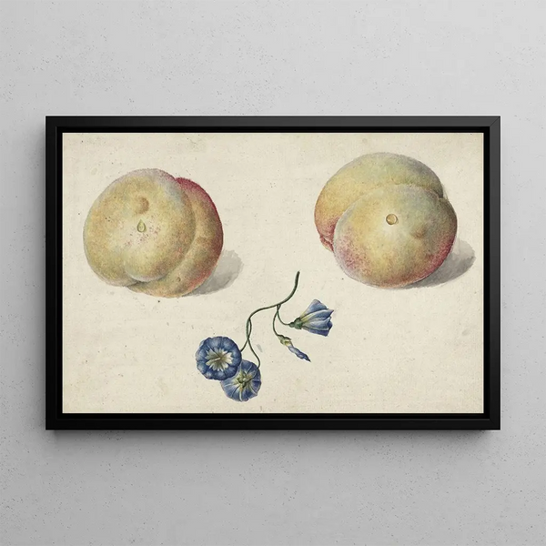 Deux pêches et une fleur - Georgius Jacobus Johannes van Os — indrammet kunstværk på væggen