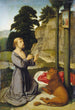 Saint Jérôme dans le désert - Gerard David — visning af kunstværket