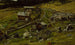 Ferme dans le Valdres - Gerhard Munthe — visning af kunstværket