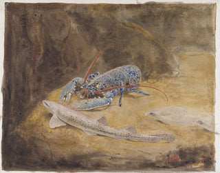 Gerrit Willem Dijsselhof - Aquarium met drie Noordzee vissen Zeekreeft Hondshaai en Schol.webp