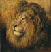Tête de lion - Geza Vastagh — visning af kunstværket
