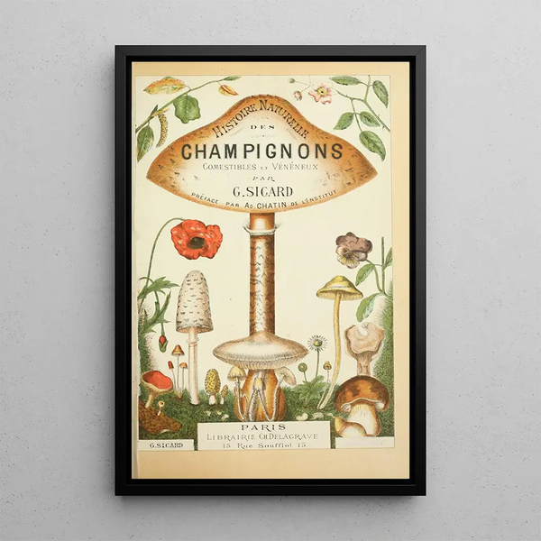 Histoire naturelle des champignons Pl01 - Guillaume Sicard — indrammet kunstværk på væggen