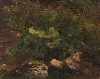 Studie af planter - Gustav Friedrich Papperitz — visning af kunstværket