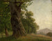 Studie af træ - Gustav Osterroht — visning af kunstværket