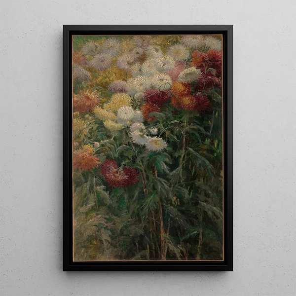 Chrysanthèmes i haven i Petit-Gennevilliers - Gustave Caillebotte — indrammet kunstværk på væggen