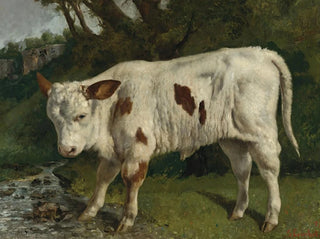Le Veau blanc - Gustave Courbet — visning af kunstværket