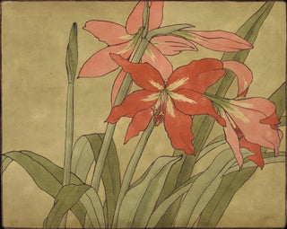 Amaryllis - Hannah Borger Overbeck — visning af kunstværket