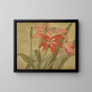 Amaryllis - Hannah Borger Overbeck — indrammet kunstværk på væggen