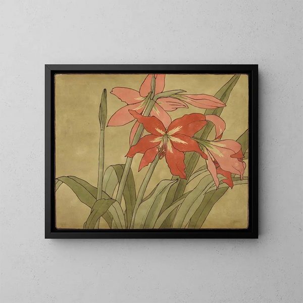 Amaryllis - Hannah Borger Overbeck — indrammet kunstværk på væggen