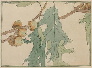 Hannah Borger Overbeck - Oak and Acorns.webp