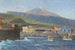 Vue depuis la mer sur Pozo de Martianez Puerto Orotava Tenerife - Hans Bohrdt — visning af kunstværket