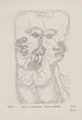 Apparition aérienne Hallucination Crayon - Hans Prinzhorn — visning af kunstværket