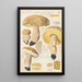 Boletus impolitus Fr reticulatus - Hans Baldung | Maleri — indrammet kunstværk på væggen