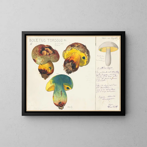Boletus torosus - Hans Baldung — indrammet kunstværk på væggen