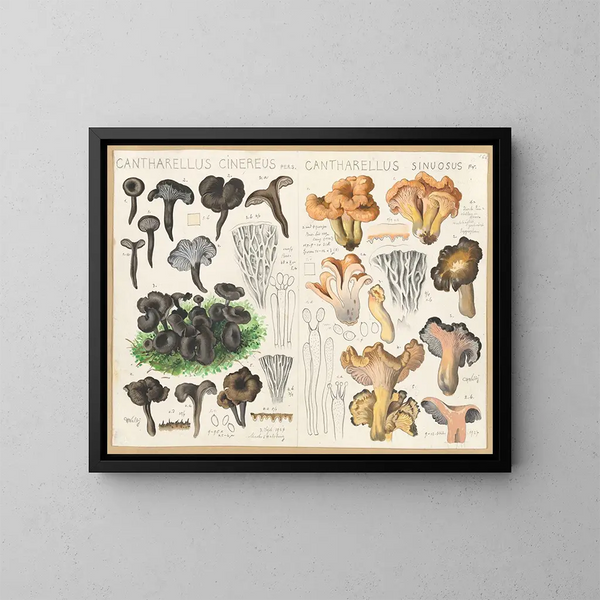 Chanterelle cendrée Chanterelle sinueuse - Hans Baldung — indrammet kunstværk på væggen