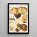 Paxillus atrotomentosus Batsch 2 - Hans Baldung — indrammet kunstværk på væggen