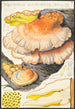Polyporus sulfureus Bull Fr - Hans Baldung — visning af kunstværket