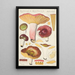 Russula alutacea Persoon - Hans Baldung — indrammet kunstværk på væggen