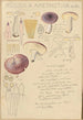 Russula amethystina - Hans Baldung — visning af kunstværket