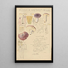Russula amethystina - Hans Baldung — indrammet kunstværk på væggen