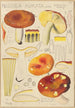 Russula aurata - Hans Baldung — visning af kunstværket