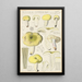Russula citrina - Hans Baldung — indrammet kunstværk på væggen