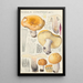 Russula constans - Hans Baldung — indrammet kunstværk på væggen