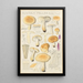 Russula fellea - Hans Baldung — indrammet kunstværk på væggen