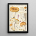 Russula foetens Pers - Hans Baldung — indrammet kunstværk på væggen