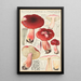 Russula linnaei - Hans Baldung — indrammet kunstværk på væggen