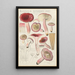 Russula rosacea - Hans Baldung — indrammet kunstværk på væggen