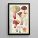 Russula secretan - Hans Baldung — indrammet kunstværk på væggen