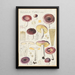Russula turci - Hans Baldung — indrammet kunstværk på væggen