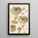 Tricholoma pardinum quelet - Hans Baldung — indrammet kunstværk på væggen