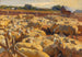 Moutons dans l'enclos - Heinrich von Zügel — visning af kunstværket