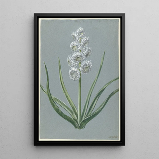 Hendrik Budde - Hyacint Markgraaf Karel van Baden Durlach.webp