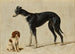 En cavalier king charles spaniel sidder og en greyhound står - Hendrik Stokvisch — visning af kunstværket
