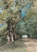 Allée sous-bois - Henri-Joseph Harpignies — visning af kunstværket