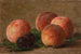 Ferskner og blommer - Henri Fantin-Latour — visning af kunstværket