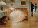 Le bal - Henri Gervex — visning af kunstværket