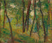 Skovbund - Henri Martin — visning af kunstværket