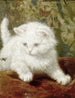 Nysgerrighed - Henriette Ronner-Knip — visning af kunstværket
