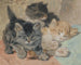 Tre killinger - Henriette Ronner-Knip — visning af kunstværket