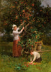 i frugtplantagen, Couen, Frankrig - Henry George Todd — visning af kunstværket